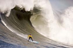 开云平台-戈贝尔成为全场焦点，魔术淘汰新疆队