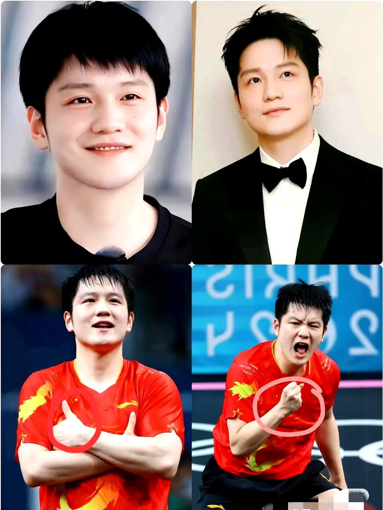 关于日本乒乓球队力克德国乒乓球队,樊振东三分雨点燃全场的信息 关于日本乒乓球队力克德国乒乓球队,樊振东三分雨点燃全场的信息