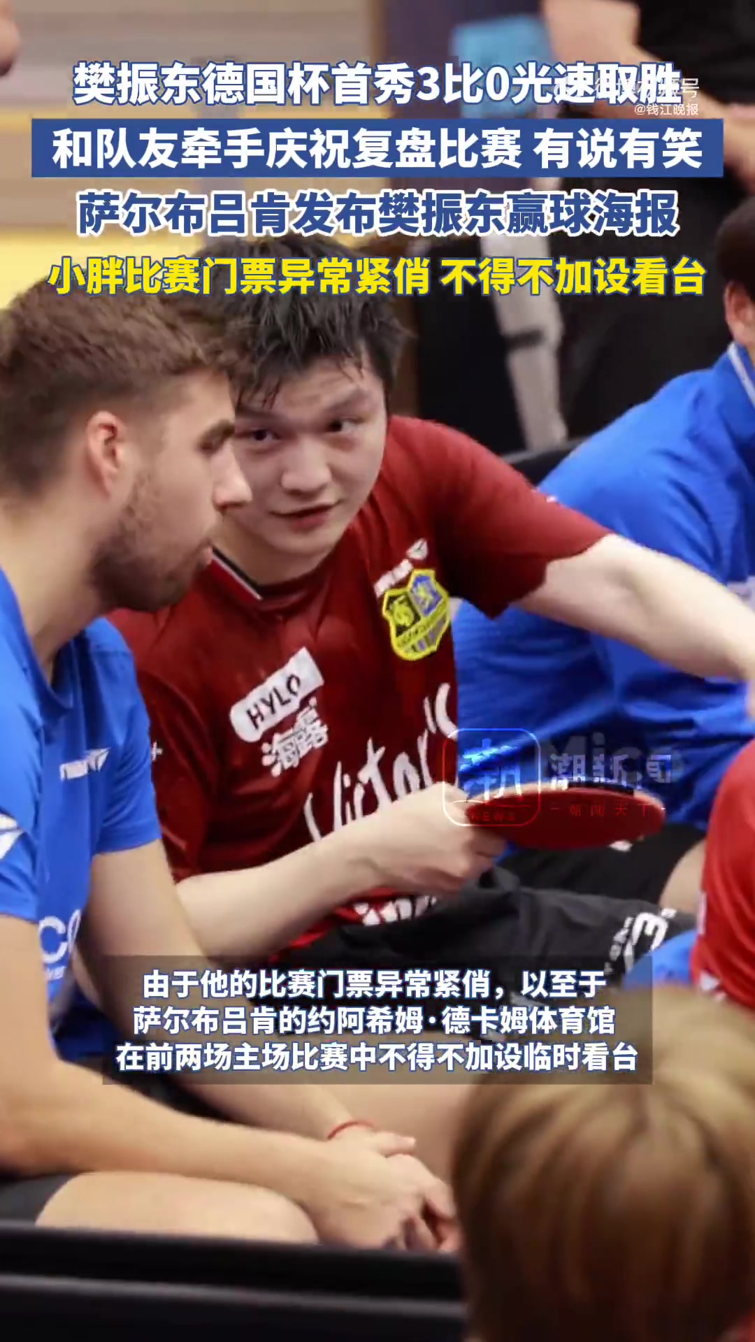 德国乒乓球队碾压日本乒乓球队,樊振东制霸全场的简单介绍 德国乒乓球队碾压日本乒乓球队,樊振东制霸全场的简单介绍