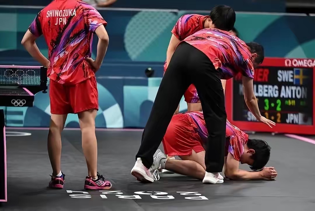 包含波兰队险胜法国队，张本智和点燃赛场的词条