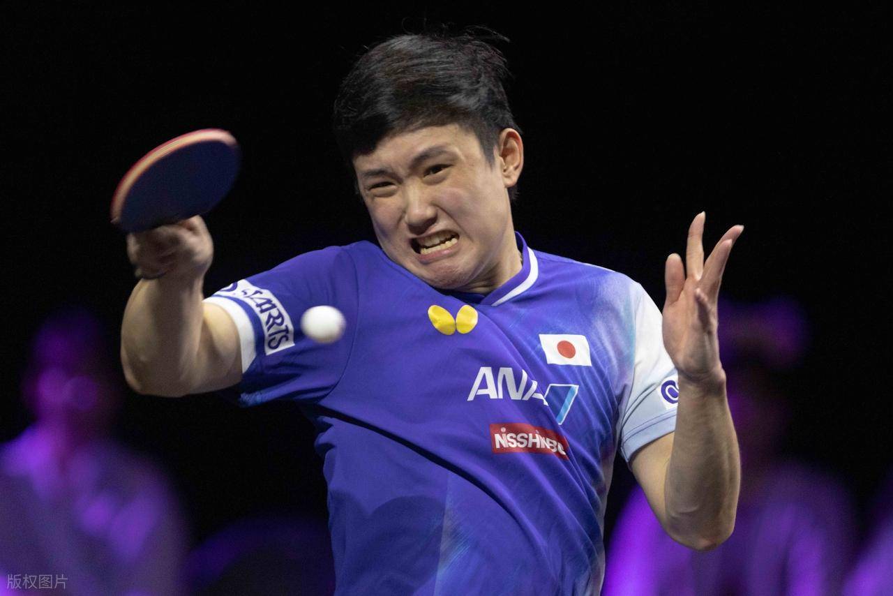 包含波兰队险胜法国队，张本智和点燃赛场的词条