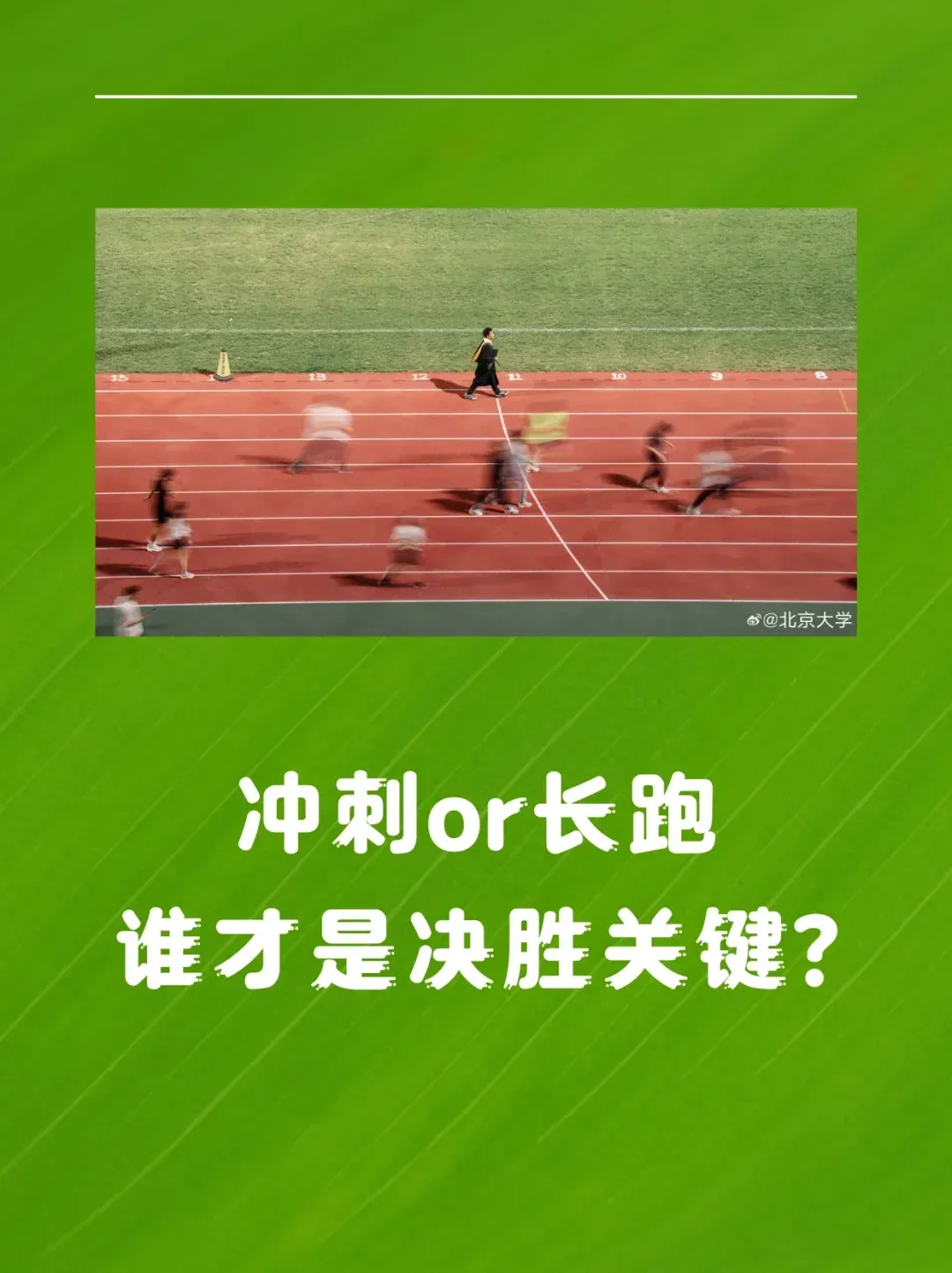 冲刺终点!选手们全力奔跑向胜利的简单介绍 冲刺终点!选手们全力奔跑向胜利的简单介绍