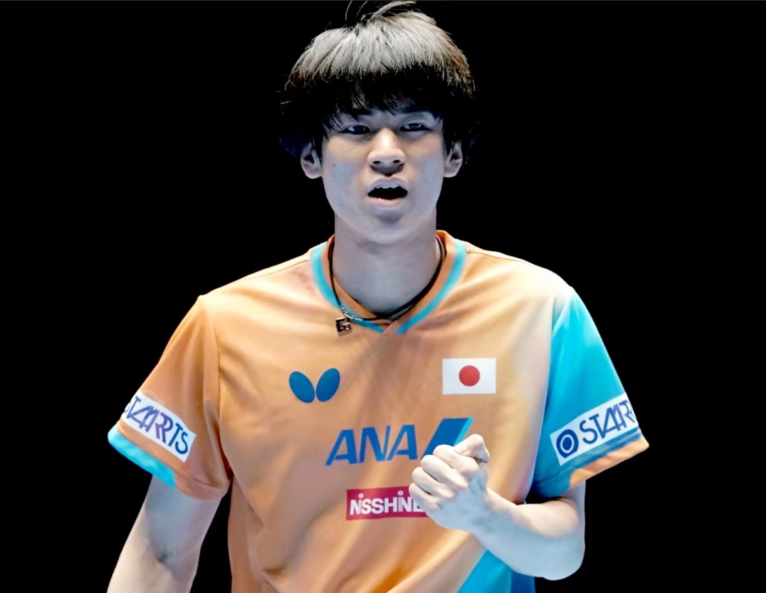 包含日本乒乓球队轻取比利时乒乓球队，水谷隼高光表现的词条