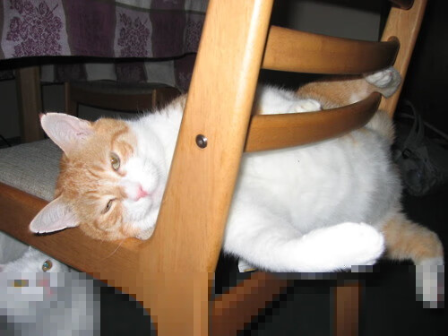 班凯罗爆发点燃战火，森林狼关键战突围，北京队的启示