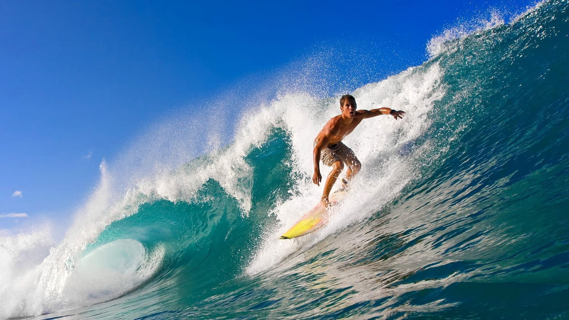 欧冠半决赛焦点战，广东队一波带走黄蜂