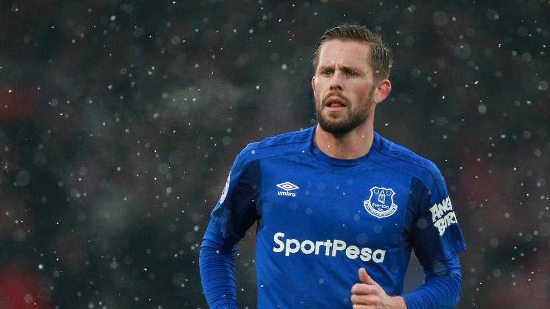 森林狼的狼性压制与约基奇的欧冠统治，跨越篮球世界的双重奏